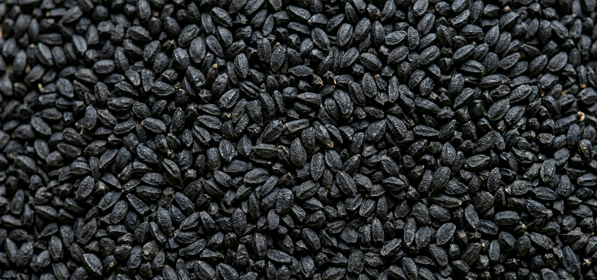 NIGELLE, CUMIN NOIR, KALONJI, HABBA SAWDA : C'EST LA MÊME CHOSE ?