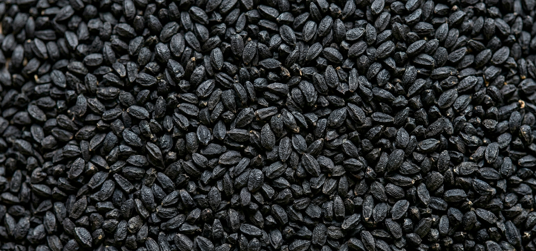 COMPLÉMENT ALIMENTAIRE À LA NIGELLE : GUIDE COMPLET