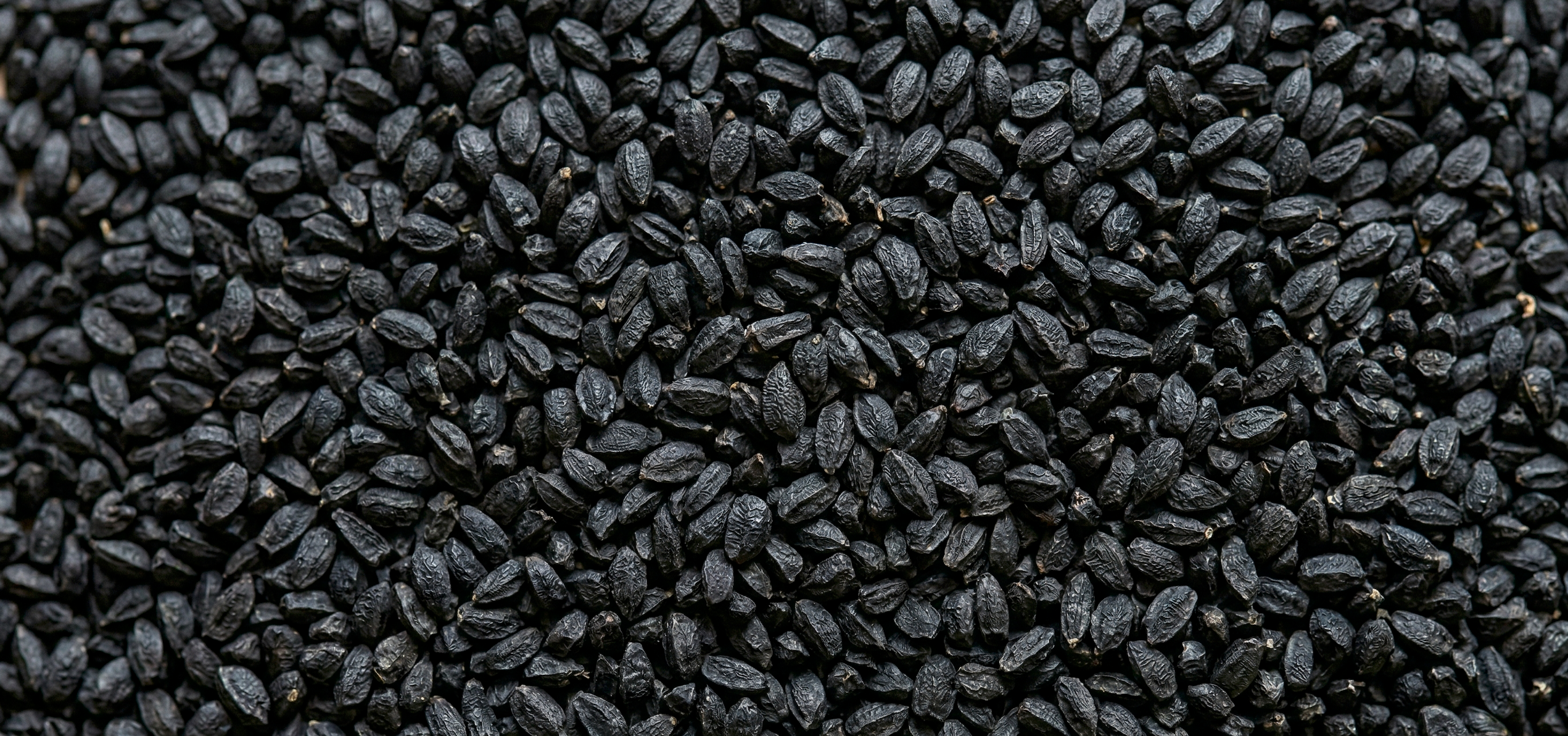 COMPLÉMENT ALIMENTAIRE À LA NIGELLE : GUIDE COMPLET