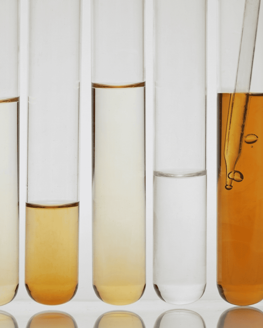 COMPLÉMENT ALIMENTAIRE NIGELLE PEAU : LE GUIDE COMPLET