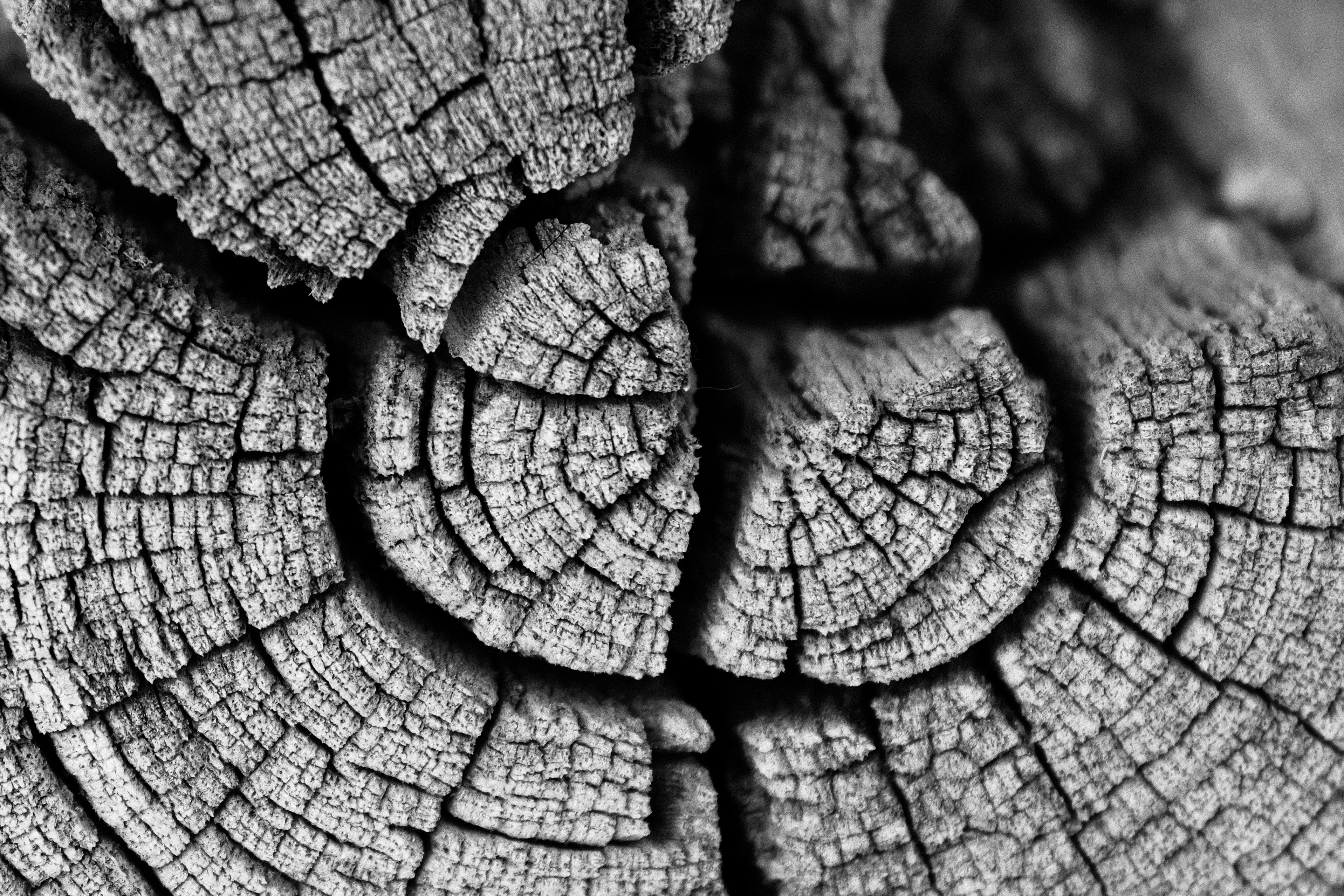 LA PEAU FACE AU VIEILLISSEMENT : UNE APPROCHE GLOBALE