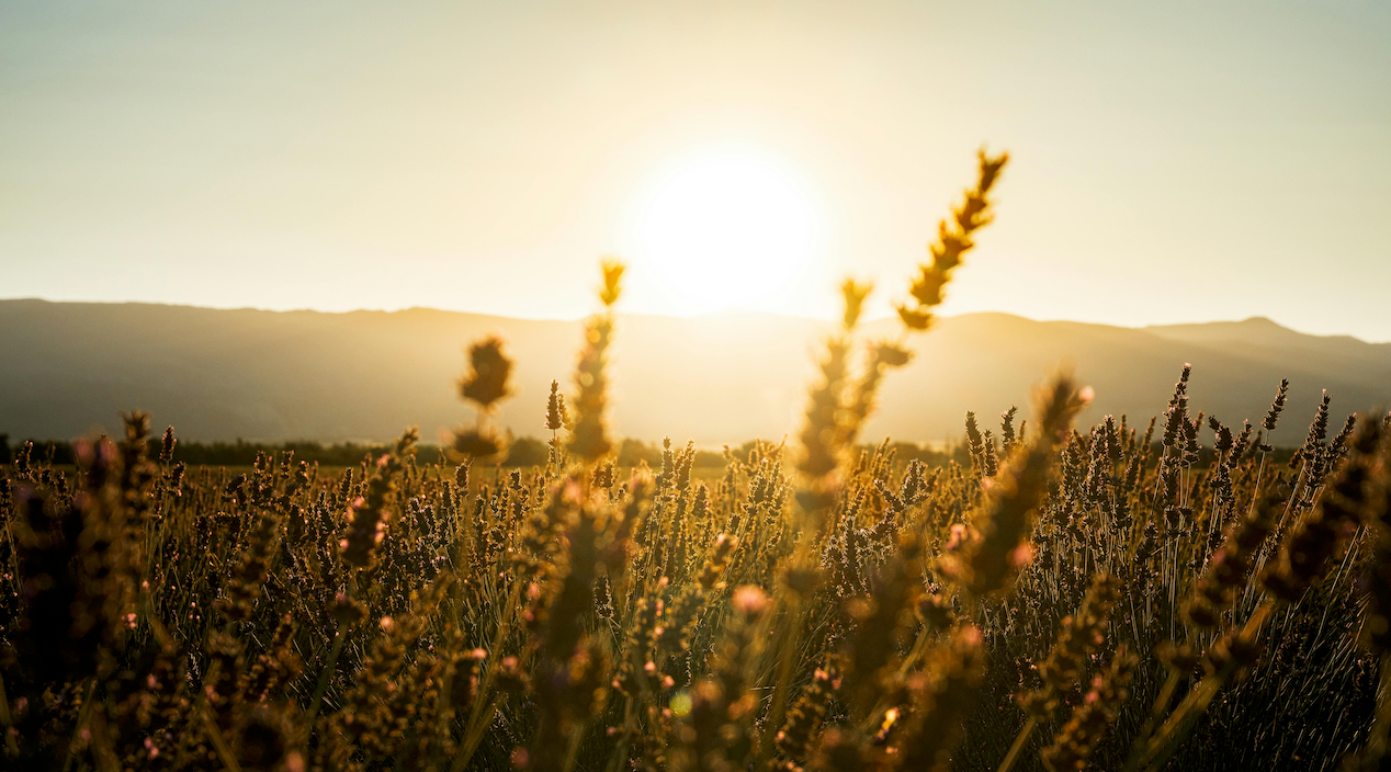 COMMENT PRÉPARER SA PEAU POUR L'ÉTÉ ?